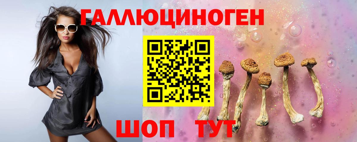 Кириши  Галлюциногенные грибы Magic Shrooms  Вход с VPN  наркотики  Галлюциногенные грибы Magic Shrooms 